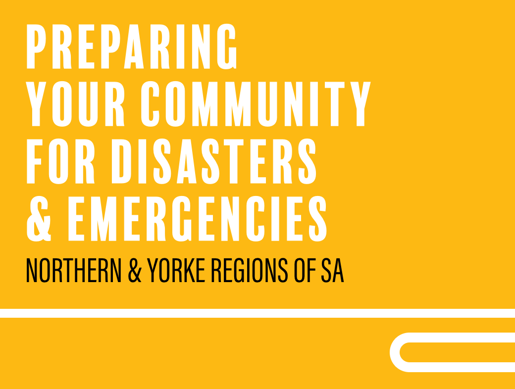 Local Government Role - Preparing Your Community For Disasters ...